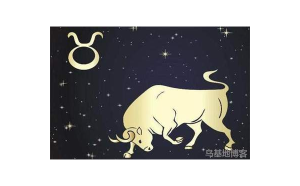 金牛座男生會(huì)問喜歡的人要東西嗎