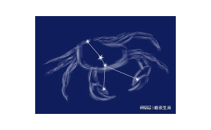 金牛座和射手座性格合適嗎