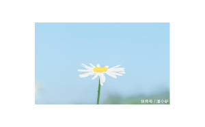 天蝎座放棄一個人能挽回嗎