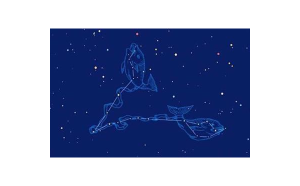 雙魚座給人感覺很可怕嗎