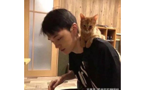 摩羯座網(wǎng)戀男生喜歡嗎