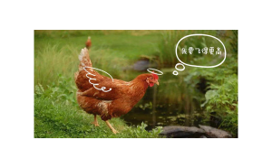 水瓶座會忘了前男友嗎