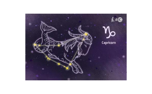 找摩羯座老干部工作好找嗎