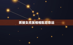 射手座男應該主動嗎