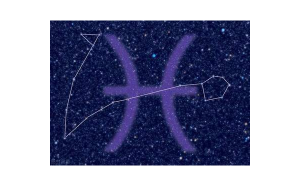 要主動(dòng)跟雙魚座復(fù)合嗎女生