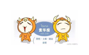 金牛座會(huì)接受幫助買禮物嗎