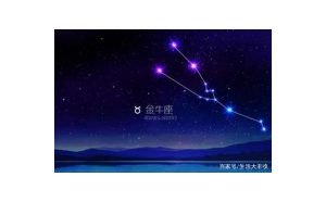 追求者是金牛座嗎全文