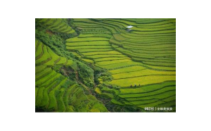獅子座朋友圈會點贊嗎男生