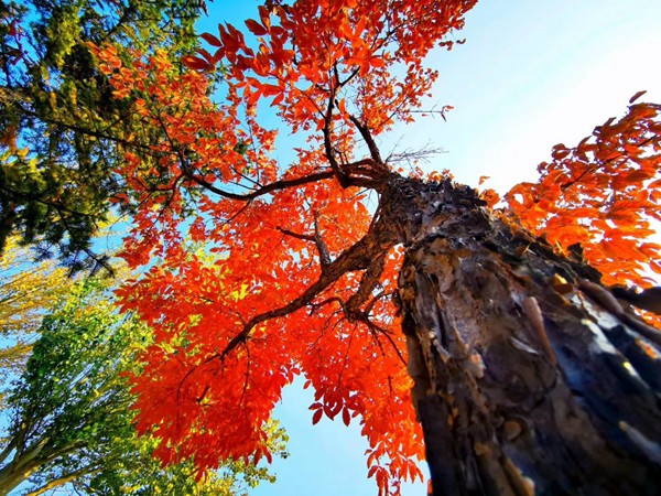 天秤座與金牛座：名字的和諧與差異
