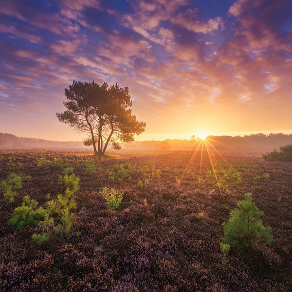 星座閨蜜情：處女座與金牛座的完美搭檔