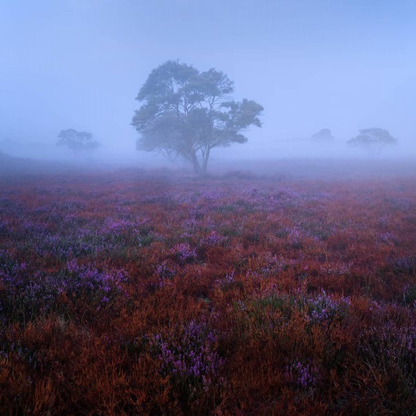 雙子座與摩羯座：星座友誼的奇妙碰撞