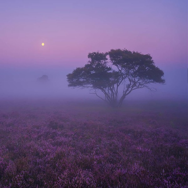 雙魚(yú)座是老媽子嗎還是老爸 