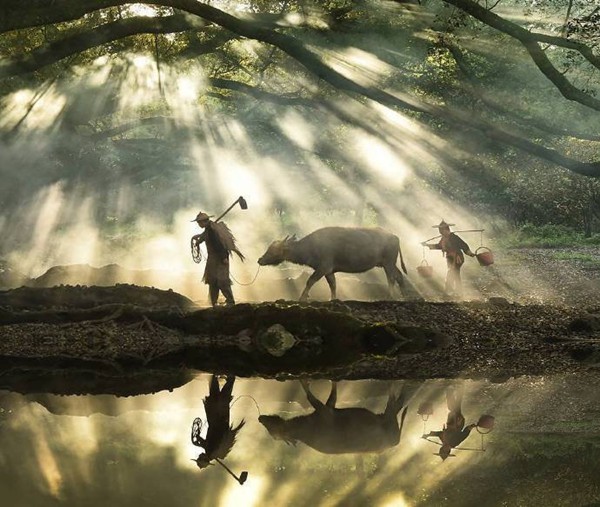 和摩羯座聊天要主動(dòng)嗎 