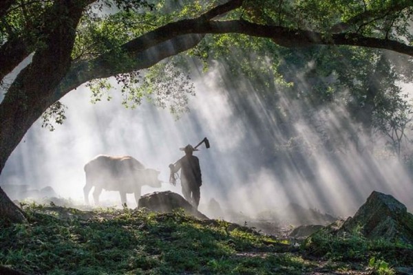 白羊座與射手座：星座配對(duì)的誤解與真相