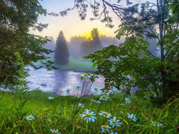 金牛座：不浮夸的沉默，為何不善言辭？