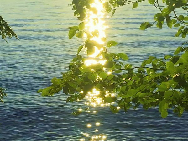 巨蟹座男生好命嗎 