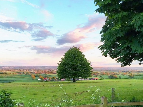 白羊座追求射手座：一場(chǎng)充滿挑戰(zhàn)的浪漫追逐