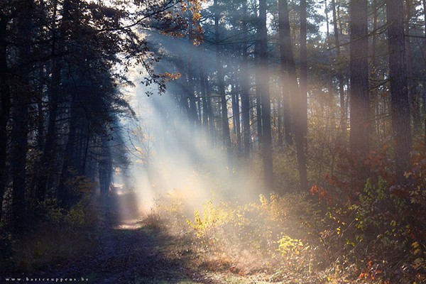 天蝎女和雙子座男合適嗎 