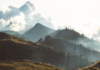 處女座眼里的金牛男：是渣男還是完美伴侶？